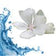 Aquatic , Fresh & Musk