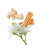 Nigerian Ginger & Tunisian Neroli