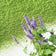 Patchouli & Green Powdery