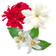 Neroli , Geranium & Jasmine