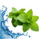 Sea water & Mint