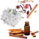 Musk, Spicy & Sandalwood