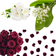 Lily of the Valley, Rose & Jasmine
