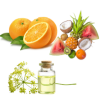 Citrus, Fruity & Galbanum