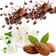 Coffee, Jasmine & Almond
